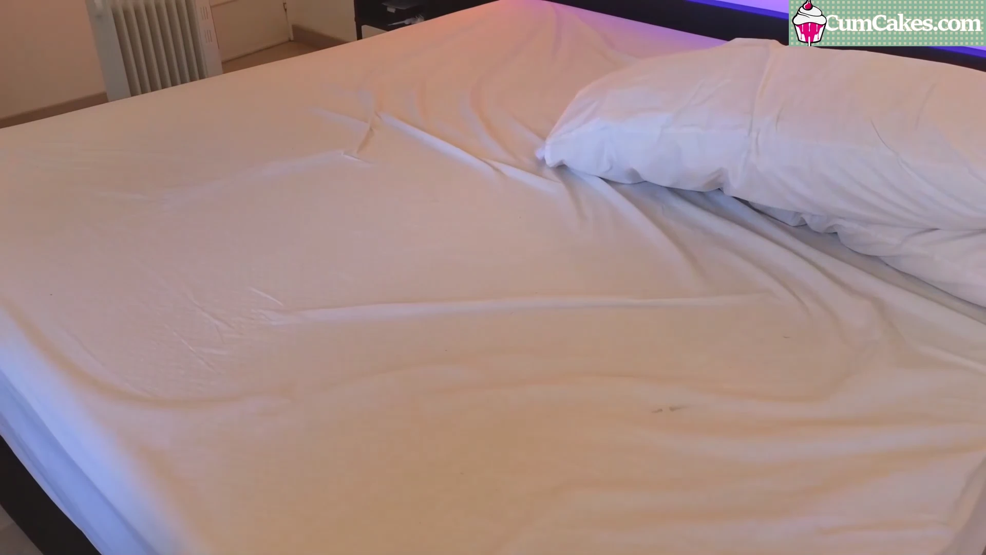 catanddickxxx Creampie, POV, Cowgirl, Missionary, Blowjob, Chaturbate video